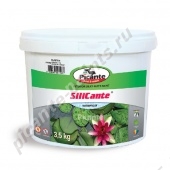������ picante � ����������� < SiliCante <small>����������� ����������-������� ������</small> <span>10260</span>