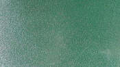 6005 moss green